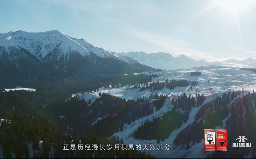 创世红海·(中国区)有限公司官网