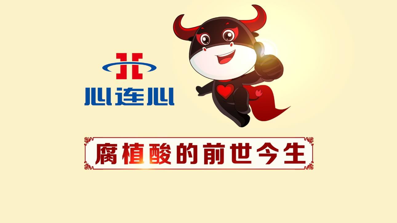 创世红海·(中国区)有限公司官网