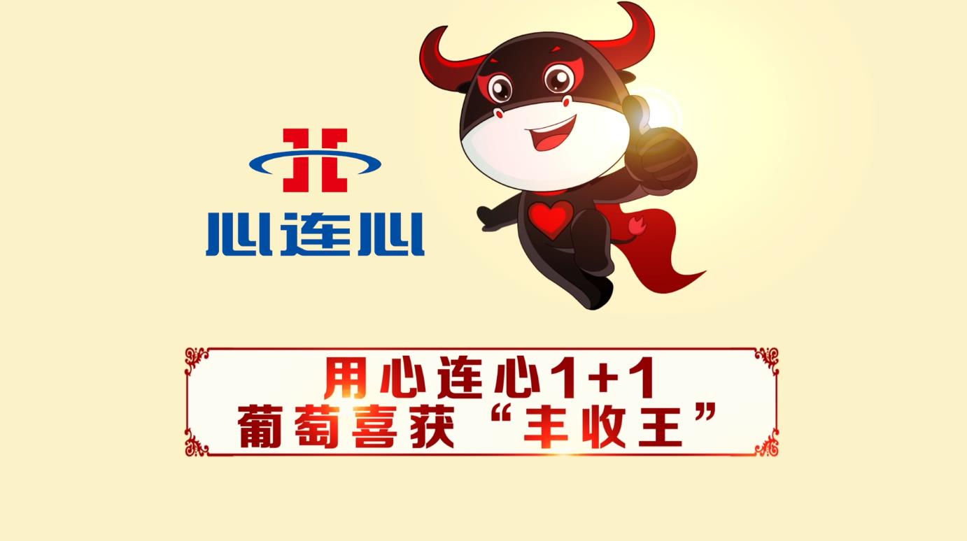 创世红海·(中国区)有限公司官网