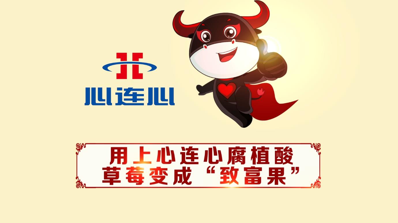 创世红海·(中国区)有限公司官网