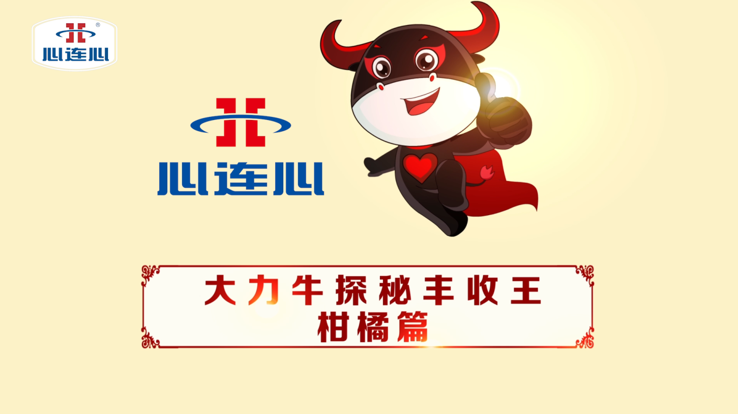 创世红海·(中国区)有限公司官网