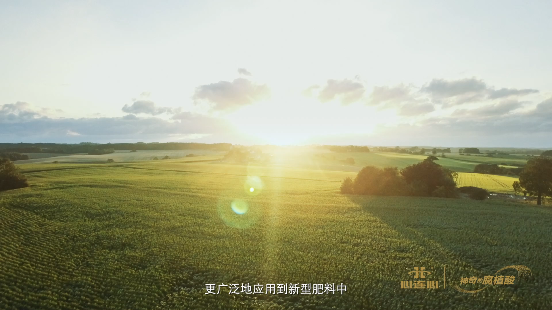 创世红海·(中国区)有限公司官网